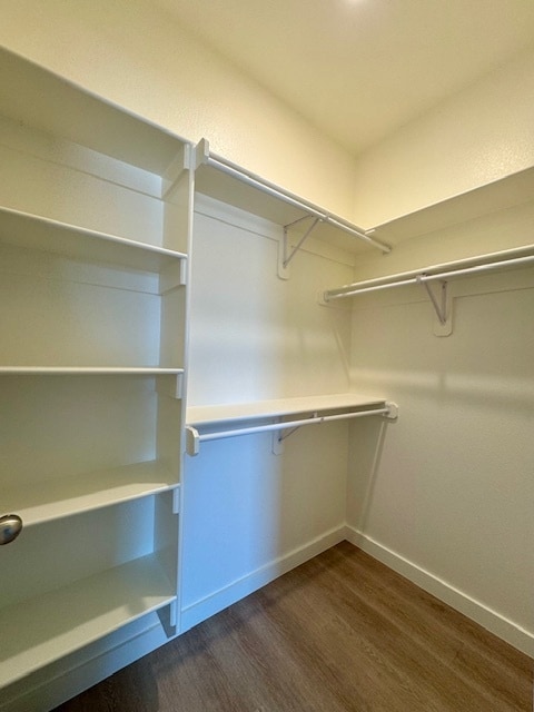 Building Photo - 1703 Casuarina Dr