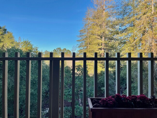 Balcony - 2315 Eastridge Ave