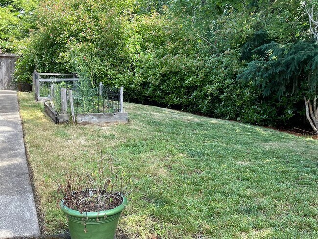 Building Photo - Fantastic 3 Bed/2 Bath Single Family Home on Blackburn St.