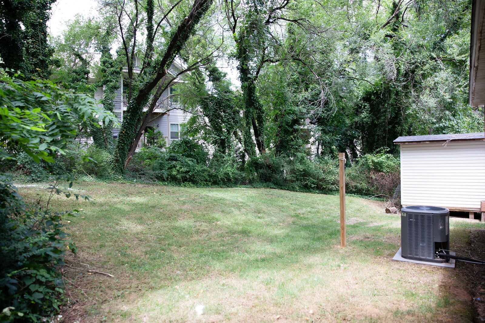 Backyard - 16 Townview Dr