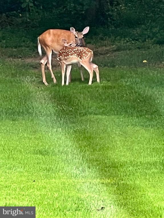 Building Photo - 3332 Philmont Ave