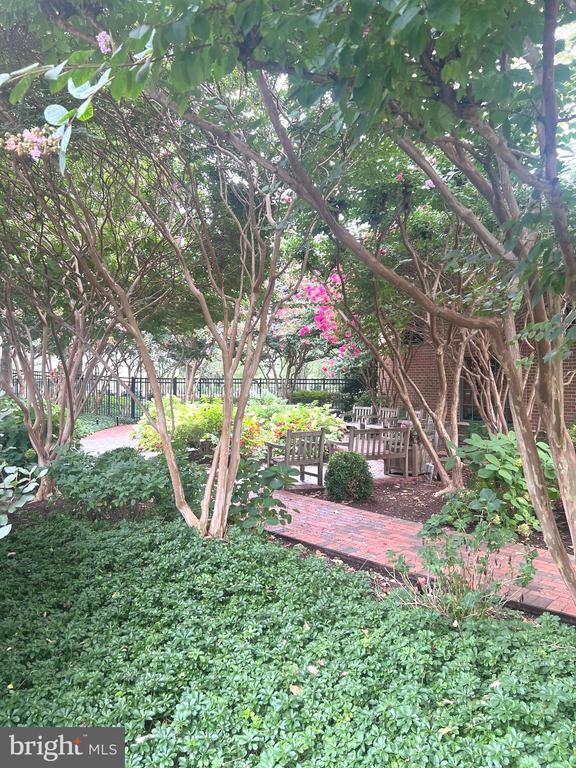 Building Photo - 11700 Old Georgetown Rd