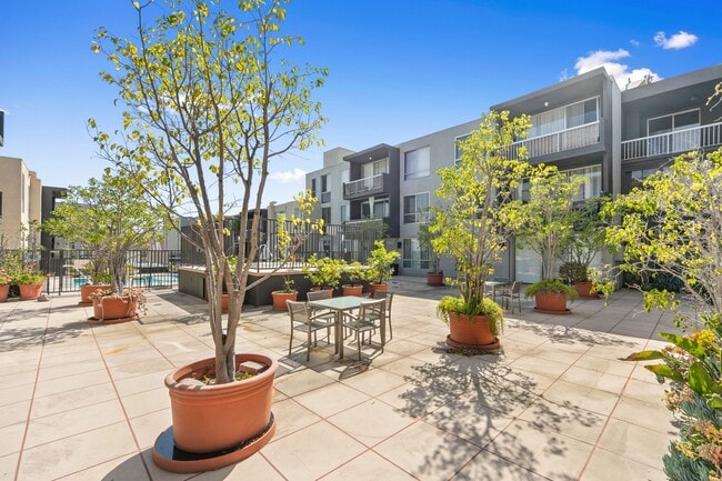 Building Photo - 1745 Camino Palmero St