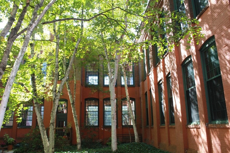Interior courtyard birch trees - 25 Grand St