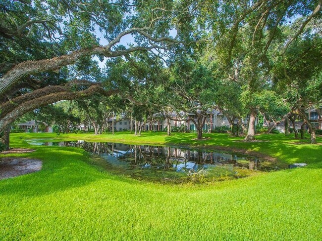 Building Photo - 101 E Park Shores Cir