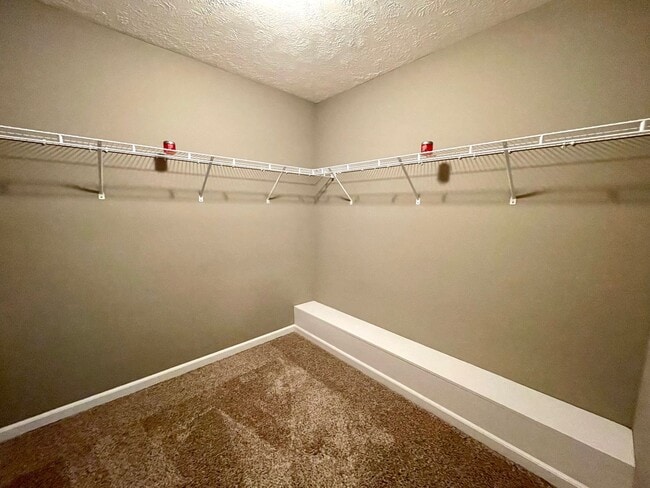 Building Photo - Where style meets comfort