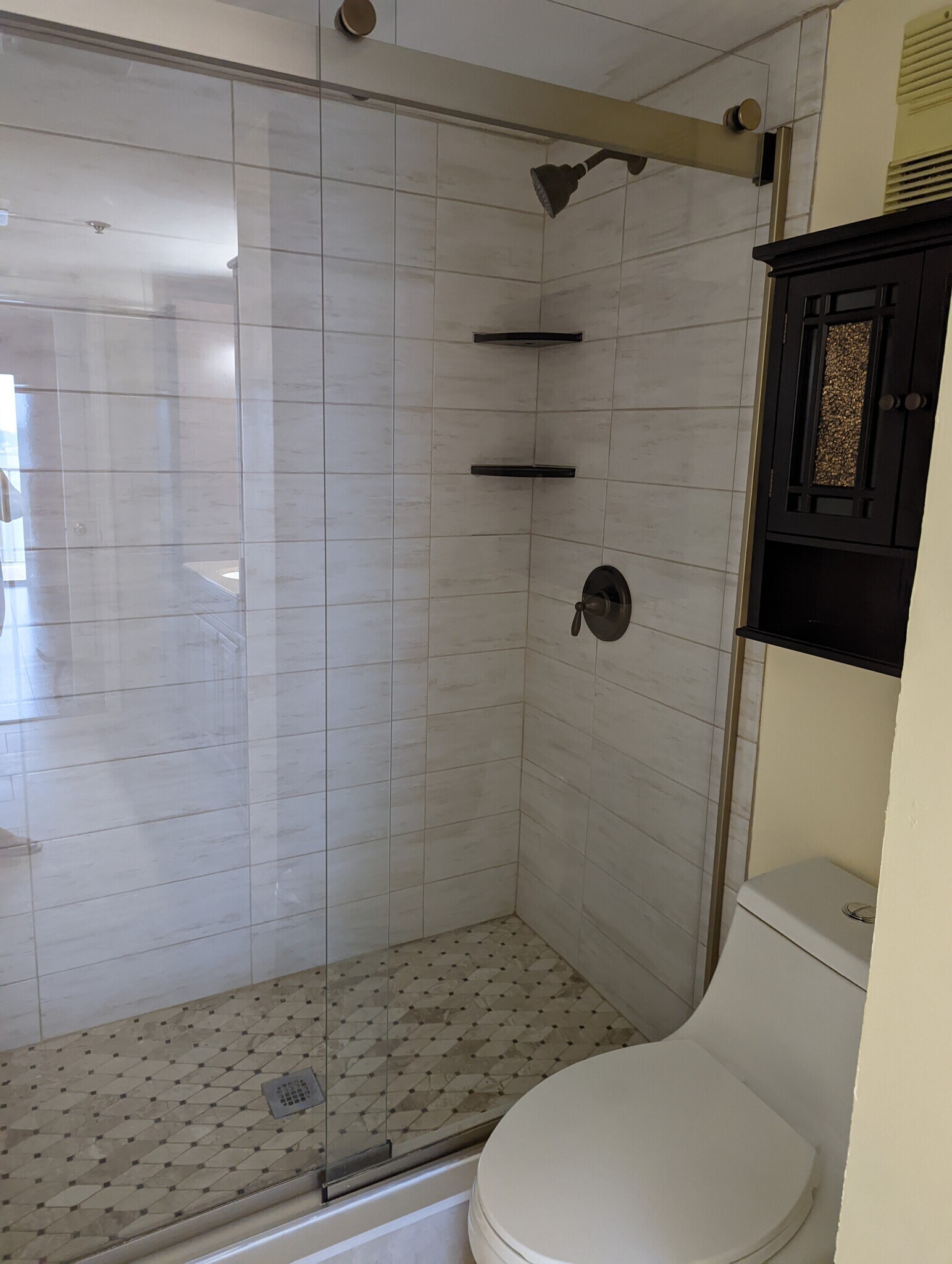 Master bathroom with walk-in shower - 7432 Sunshine Skyway Ln S