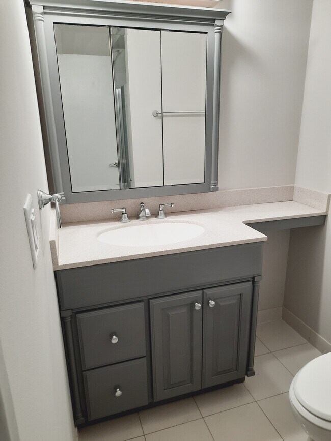 En-suite bathroom vanity and medicine cabinet. - 434 Clinton Pl