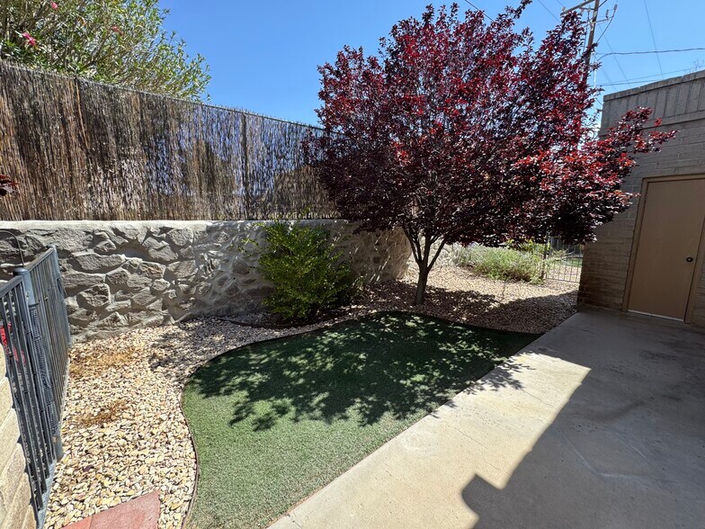 Building Photo - Telshor Terrace Apartments