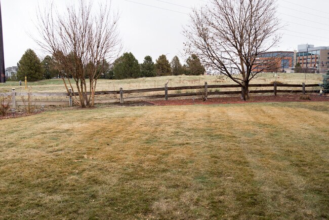 Building Photo - Evolve Real Estate: Available Immediately 3 Bedroom on a Huge Lot Facing Open Space! No Pets.