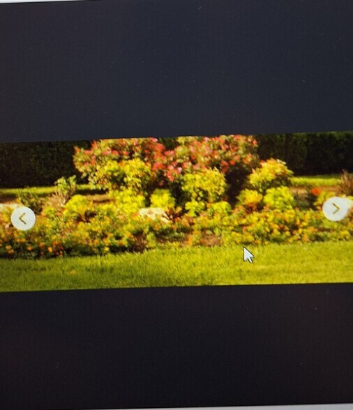 Building Photo - 1109 Calico Ln