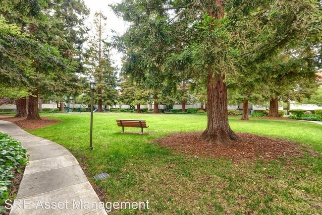 Building Photo - 1 br, 1 bath House - 701 San Conrado Ter #3
