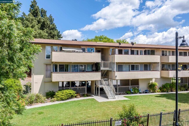 Building Photo - 2345 Paloma Ct