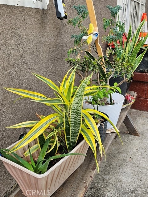 Building Photo - 166 E 36th Pl