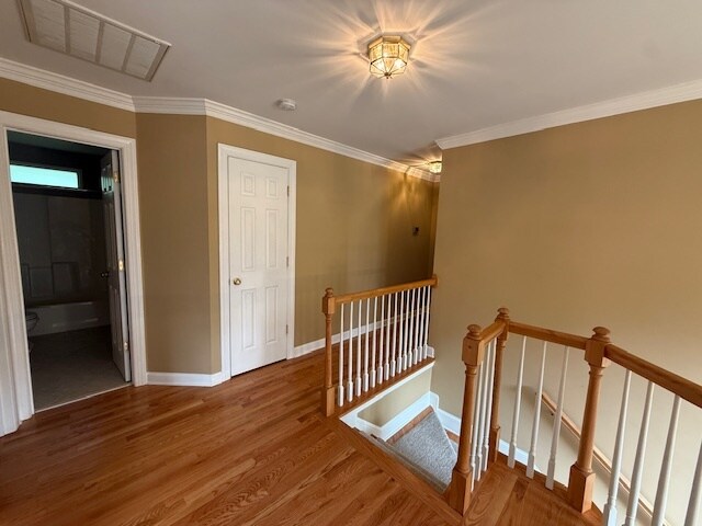 Building Photo - 3003 Honor Ct