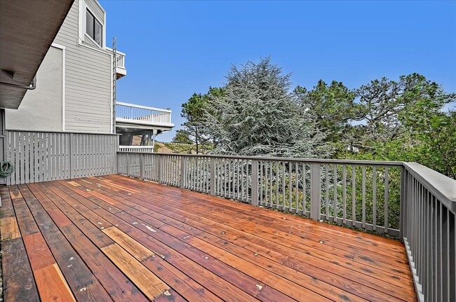 Building Photo - Light Filled Newly Remodeled Home w/ Fanta...