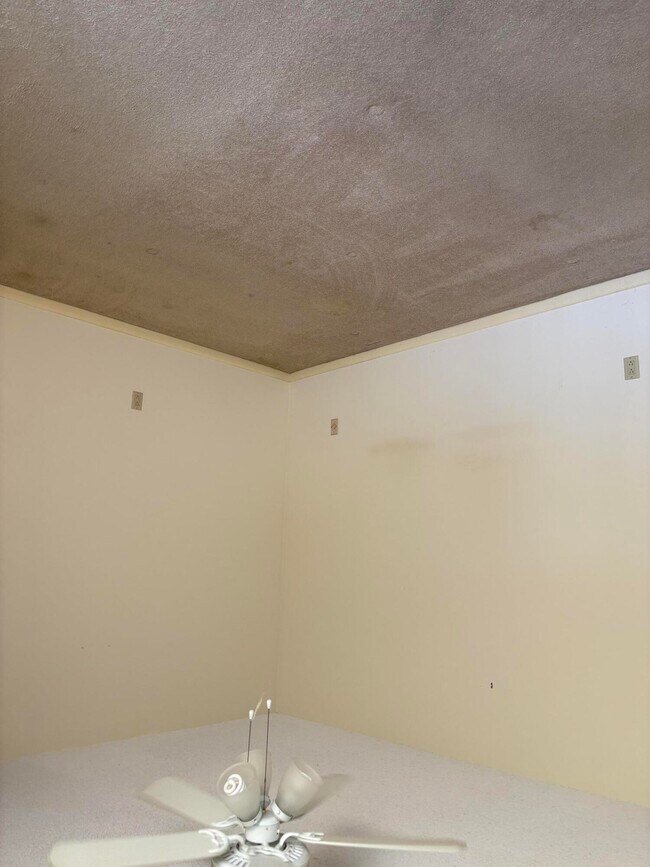 Building Photo - 1619 16th Ct