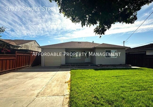 Primary Photo - 37029 Spruce St