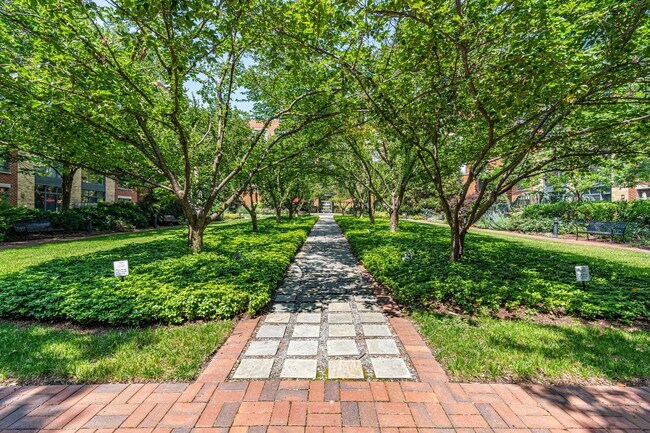 Building Photo - Modern Condo in Old Town Alexandria