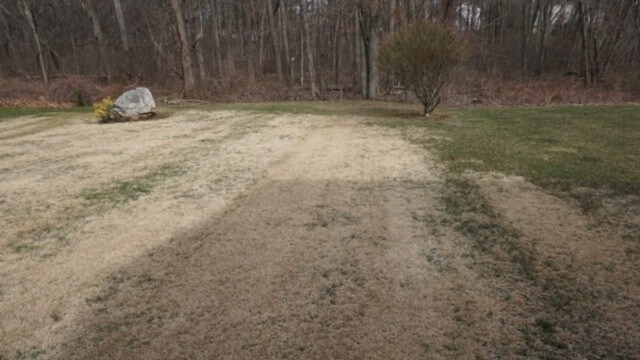 Building Photo - 117 Deer Run Trail