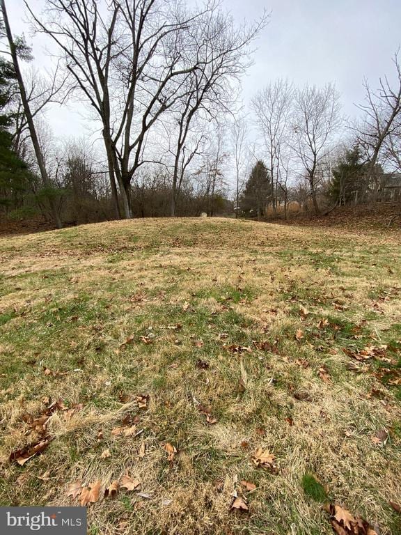 Building Photo - 470 Plum Alley