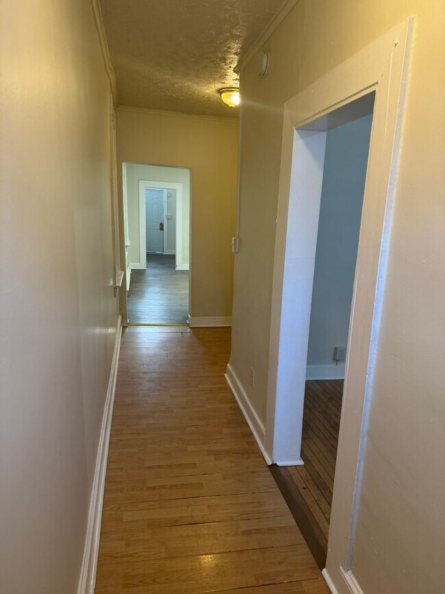 Building Photo - 20-22 Elizabeth St