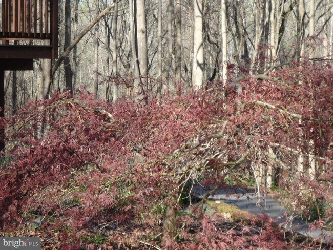 Building Photo - 814 Rustic Ln