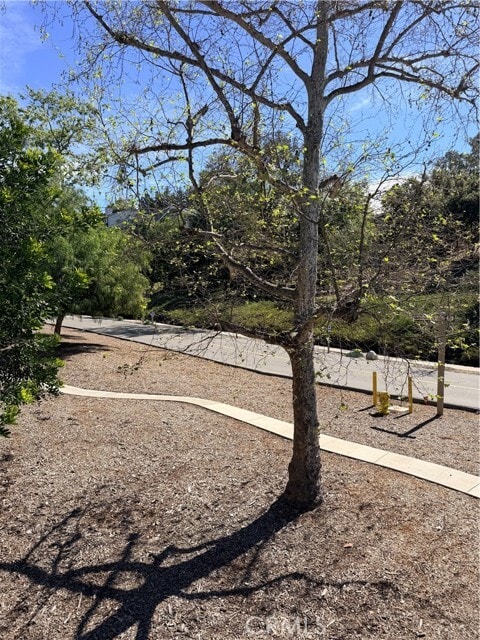 Building Photo - 23551 Ave La Caza