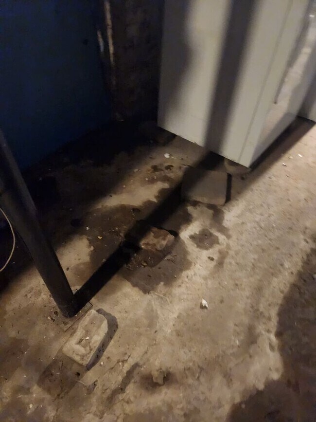 Building Photo - 413-415-415 N 6th Ave