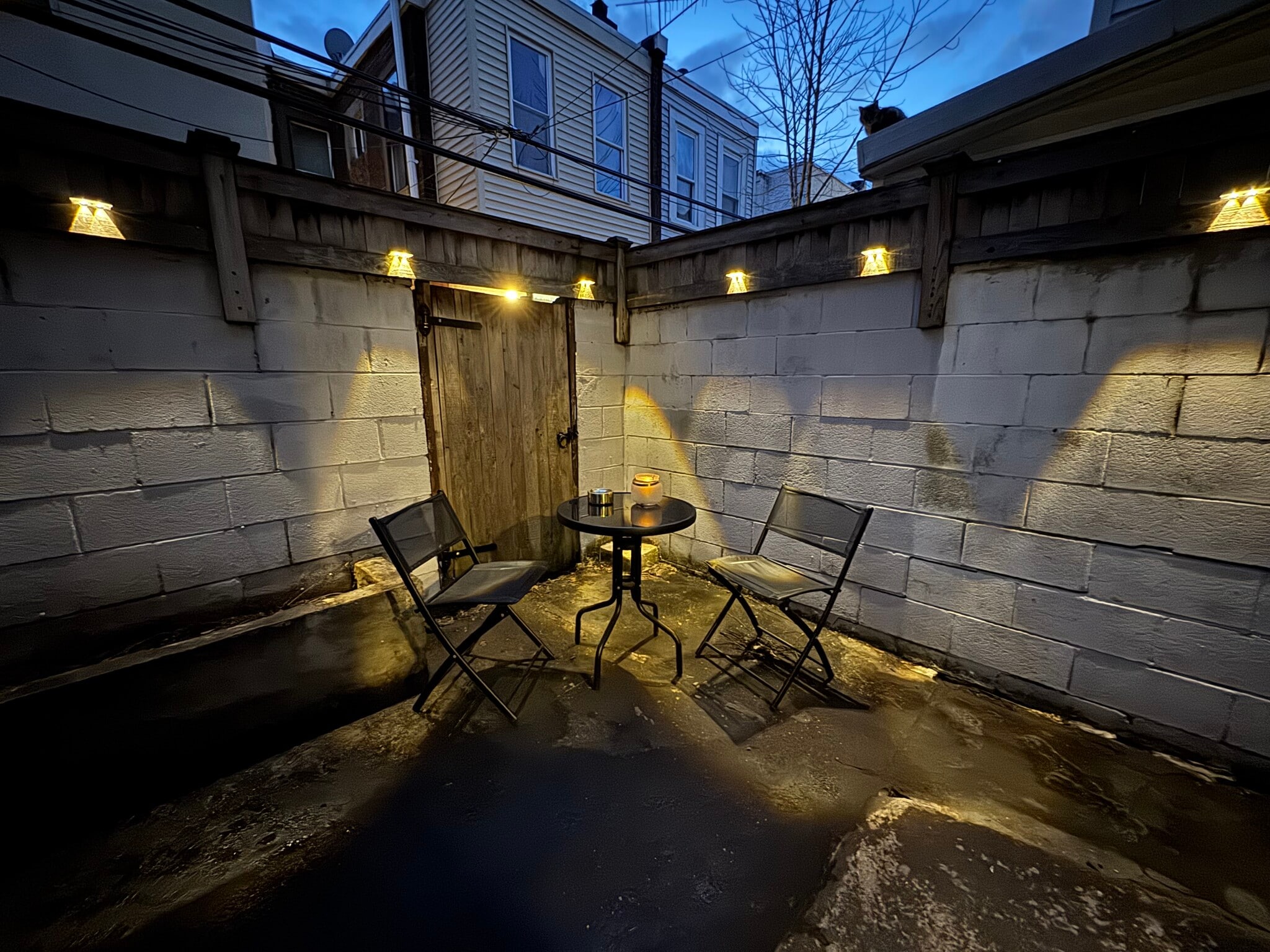 Backyard/patio - 1718 McClellan St