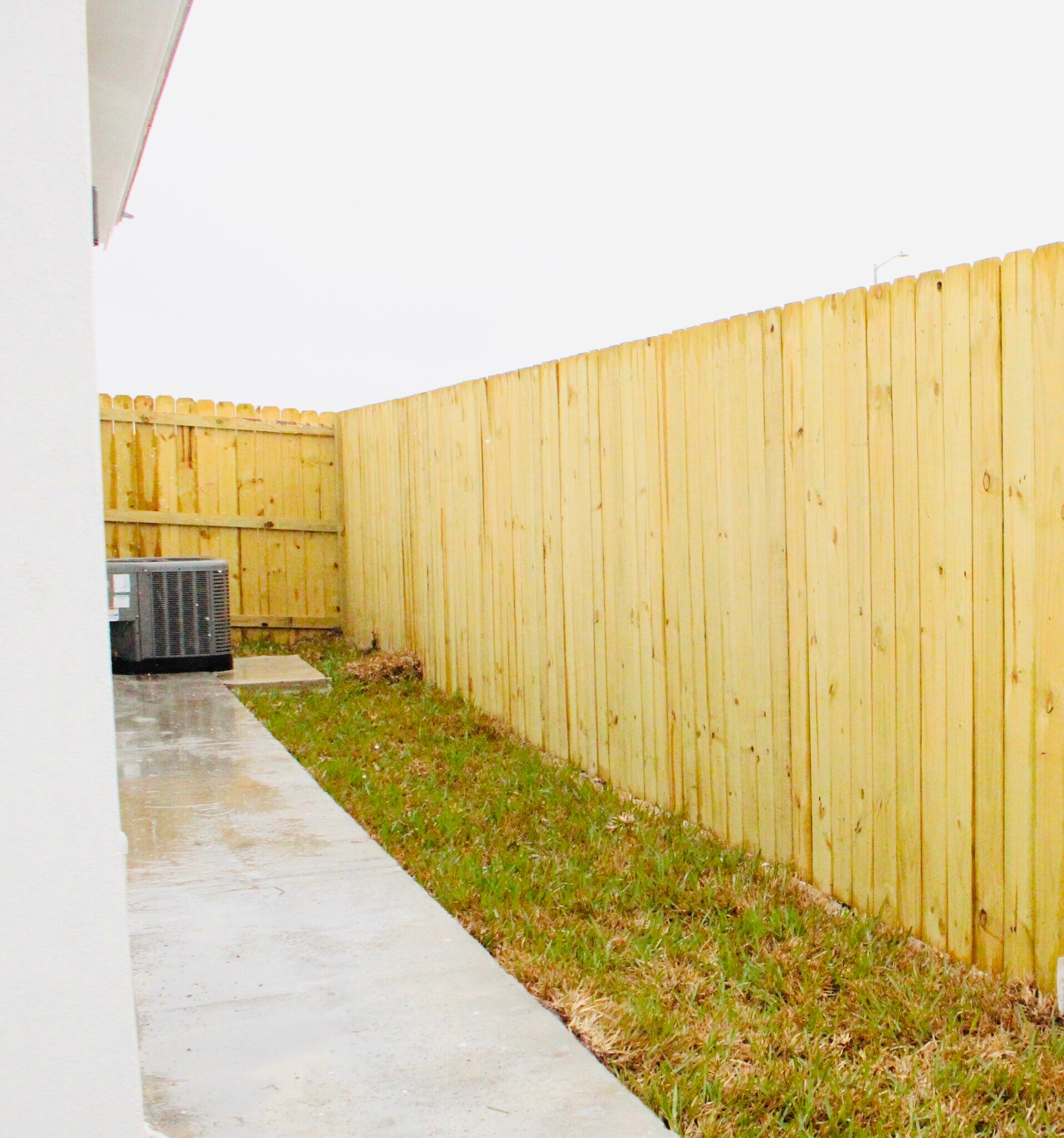 Spacious backyard - 2108 E Viviana St