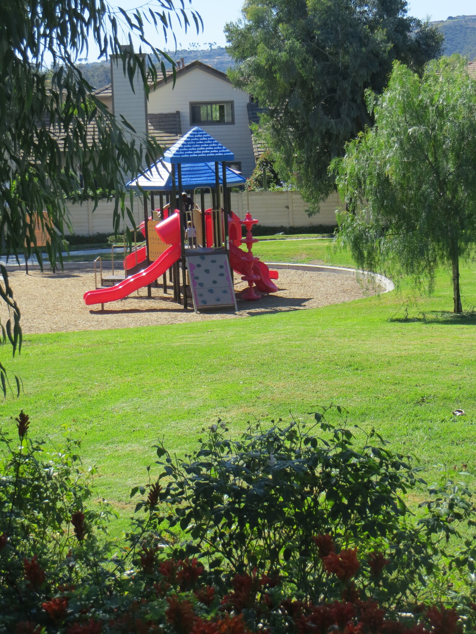 Multiple parks within walking distance - 30061 Whitecap