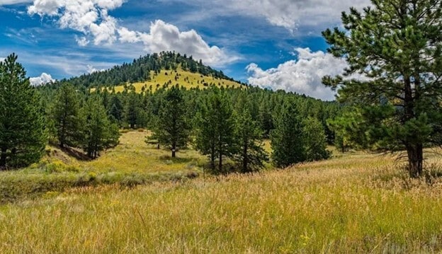 Building Photo - 998 Bunker Hill Rd