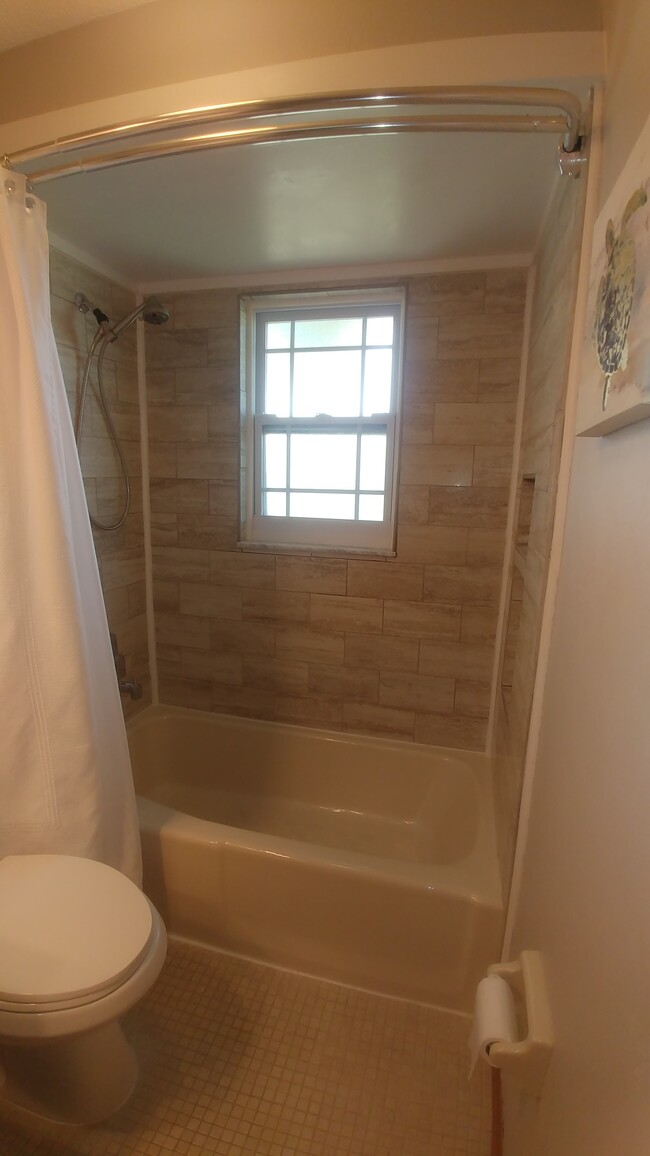 Hall bath pic three - 47 Sea Island Dr N