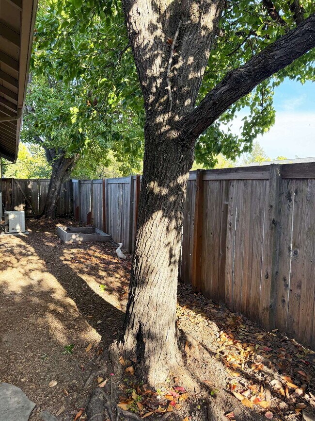 Building Photo - Single-Level Sonoma Living Less Than a Mile from the Historic Plaza