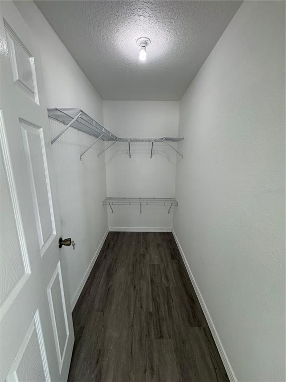 Building Photo - 8448 Balm St