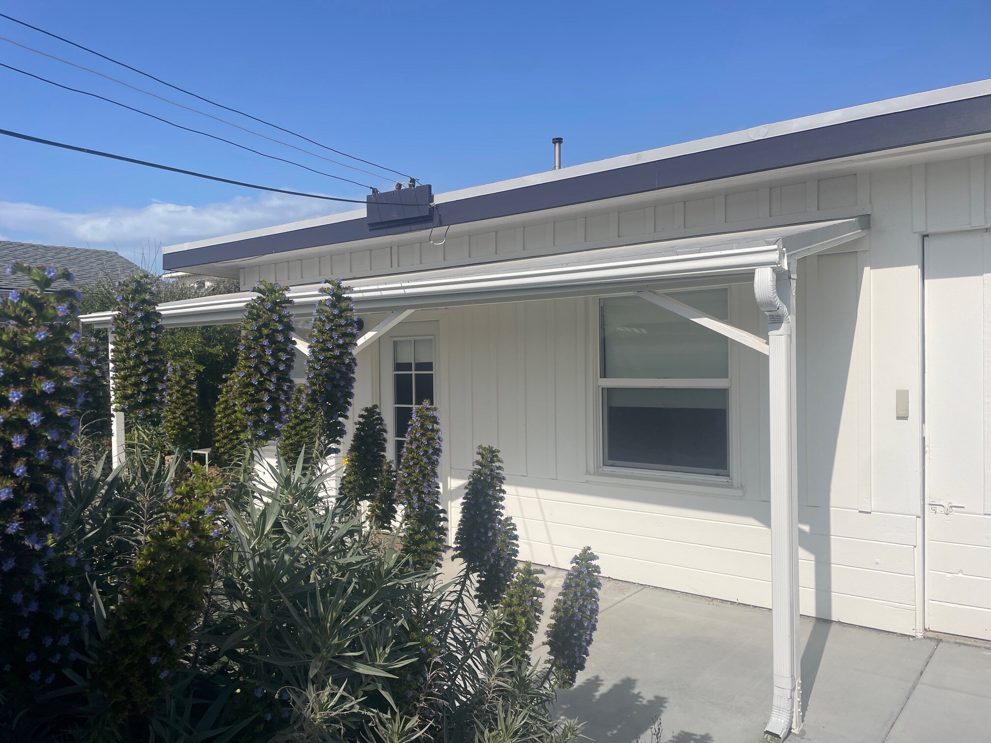 Building Photo - 1146 1st St