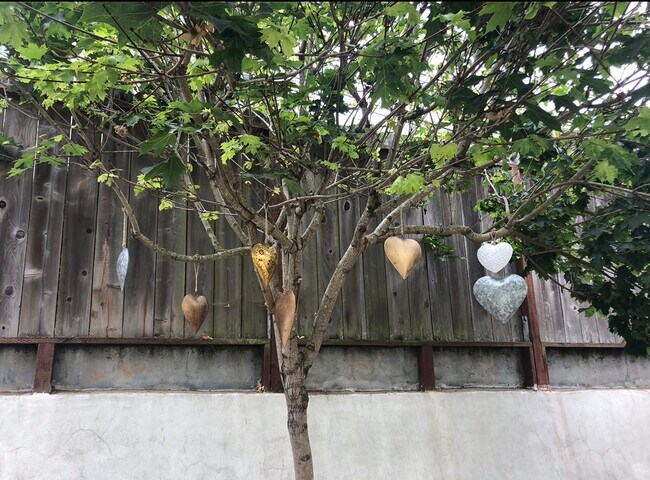 Building Photo - 50 Dunsmuir St