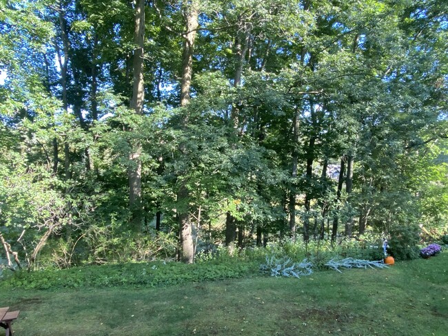 The beautiful backyard overlooking cazenovia creek - 6 Woodbrook Dr