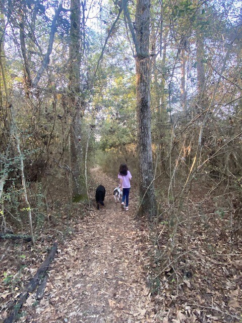 Building Photo - 4639 Sequoia Echo Dr