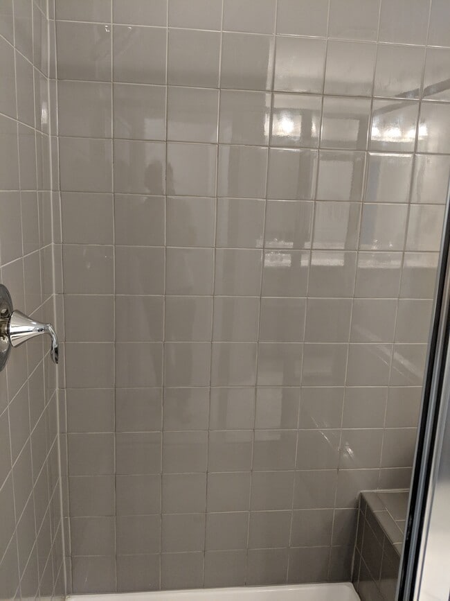 master bath - 1385 Southpoint Trail