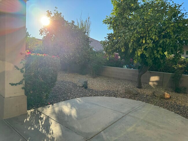 Building Photo - 78271 Desert Willow Dr