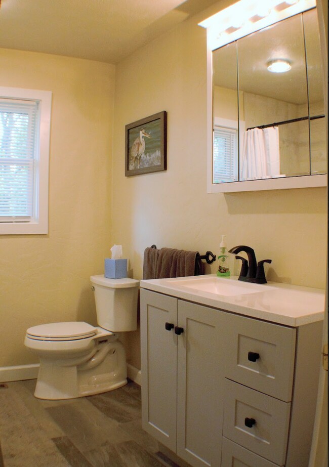 Building Photo - "Charming 3-Bed Retreat with Finished Basement & Fireplace in Scenic Mills River!" Furnished