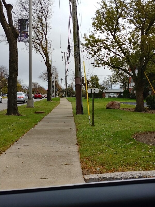 Building Photo - 19 E Palatine Rd