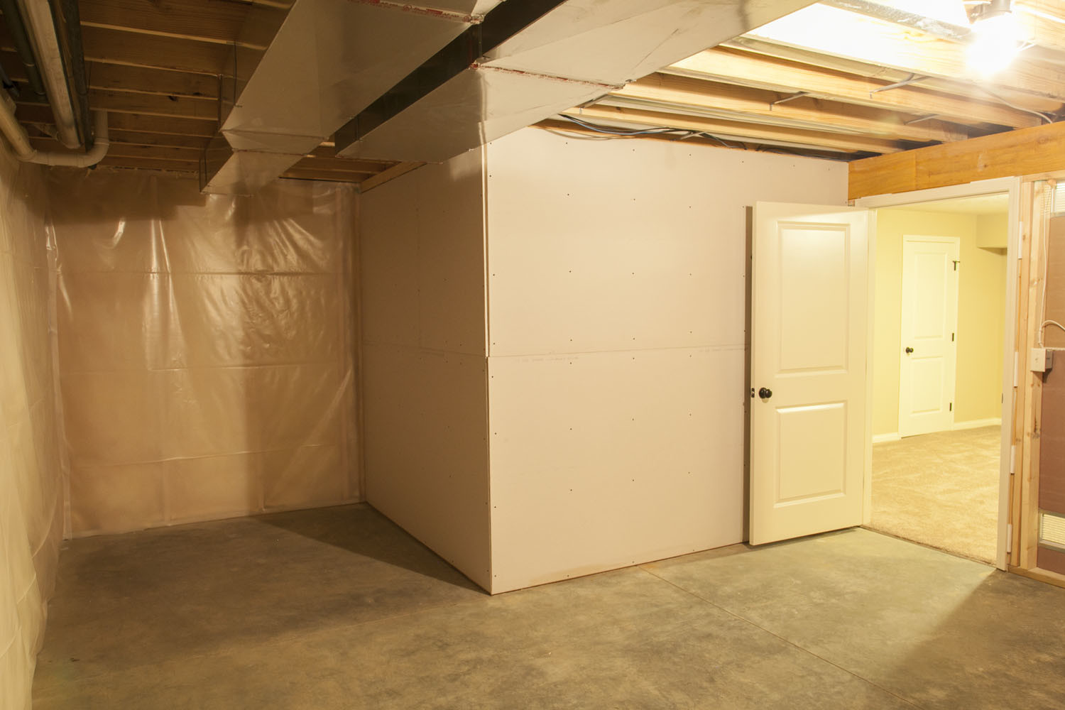 Basement - 3620 Chardonnay Ct