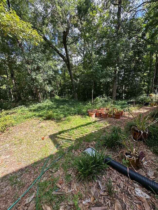 Building Photo - Spacious downstairs 2Bed/1 Bath in Killear...