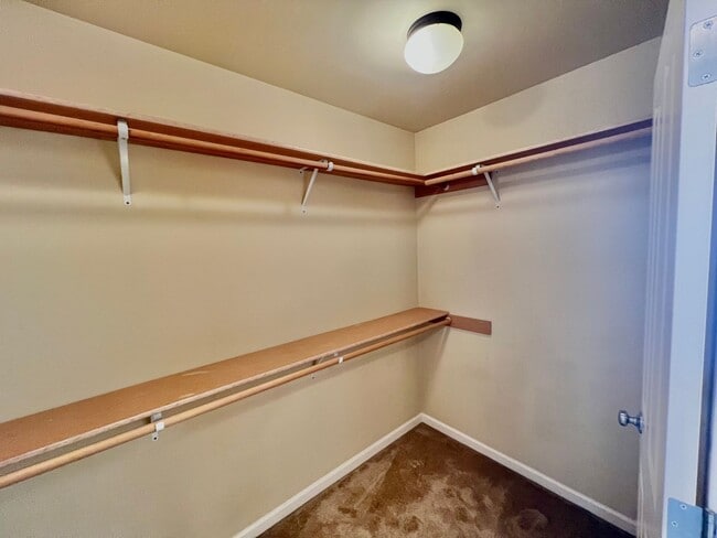 Building Photo - MOVE IN READY: 4bd 2.5ba 2,086 sq ft