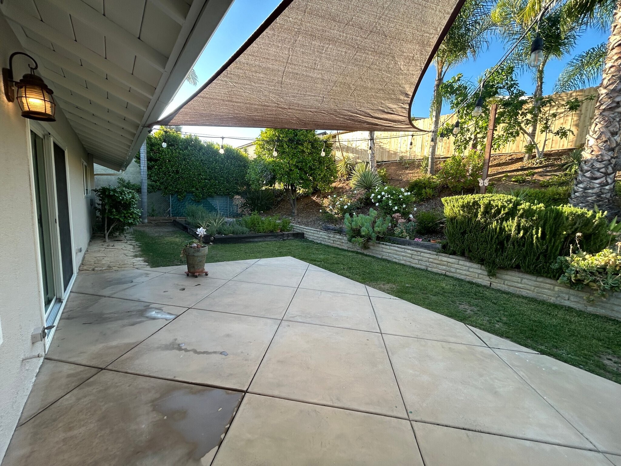 Building Photo - 1916 Felice Dr