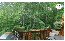 Private backyard - 5429 Werburgh St