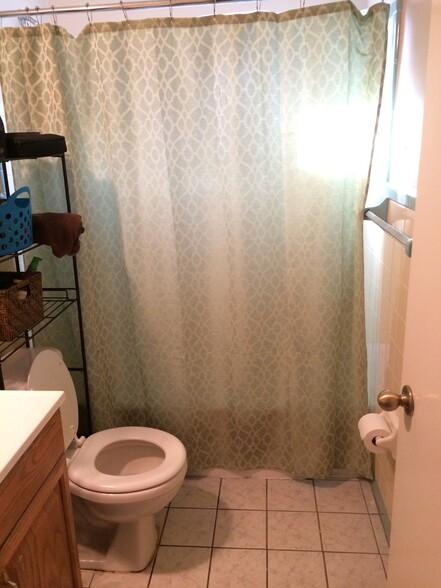 Updated bathroom - 1009 E. Central Blvd.